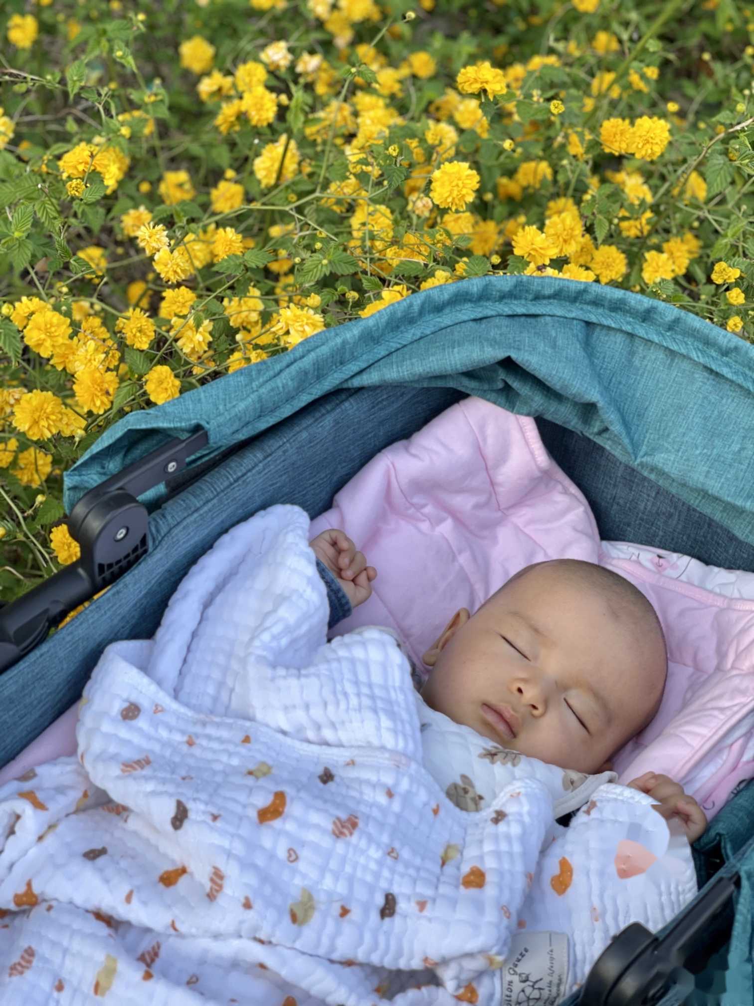 助孕费用~试管放几个胚胎最理想？试管一般放几个胚胎？