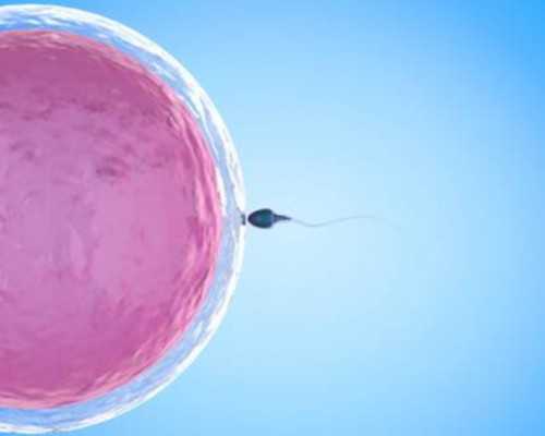 公立生殖中心有供卵吗&40岁卵子,卵巢早衰做试管婴儿会容易出现胎停吗-了解引