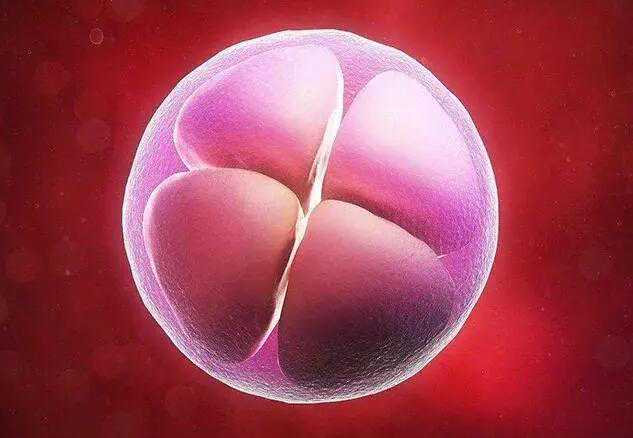 太原代孕的例子 太原单周期供卵试管具体流程 ‘b超会不会把脐带误认为男宝宝